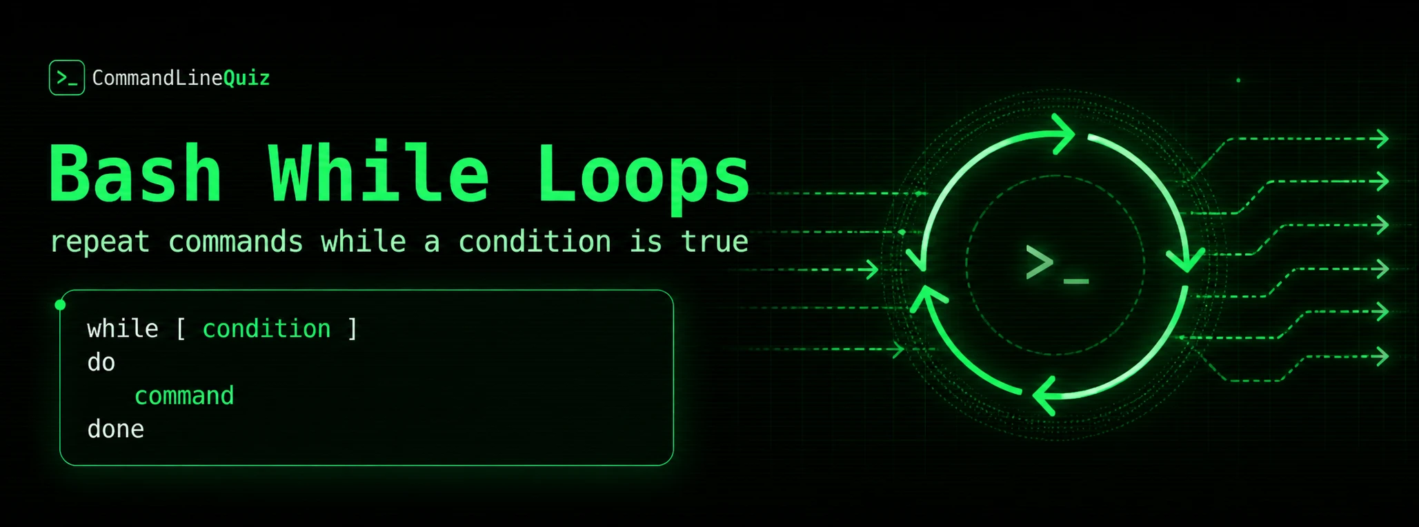 Bash while loops explained banner
